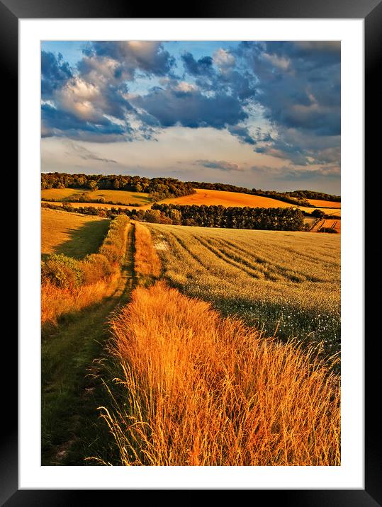 Path down to Ipsden in Oxfordshire Framed Mounted Print by Joyce Storey