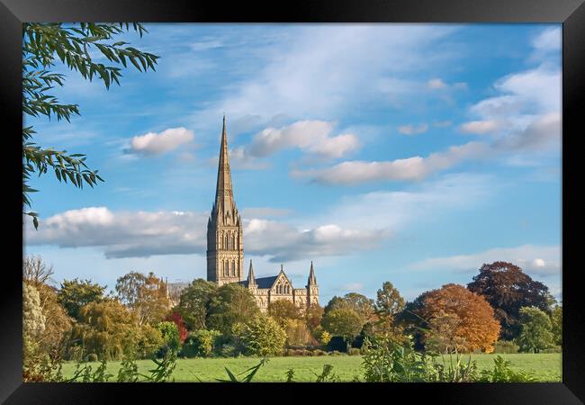 Salisbury Cathedral from the Meadows  Framed Print by Joyce Storey
