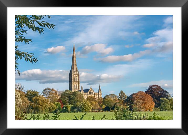 Salisbury Cathedral from the Meadows  Framed Mounted Print by Joyce Storey