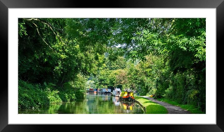 Canal Greenery Framed Mounted Print by Joyce Storey