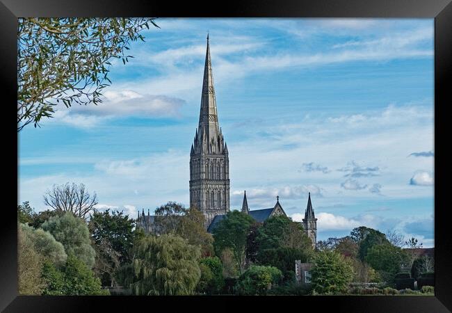 Cathedral amongst the trees Framed Print by Joyce Storey