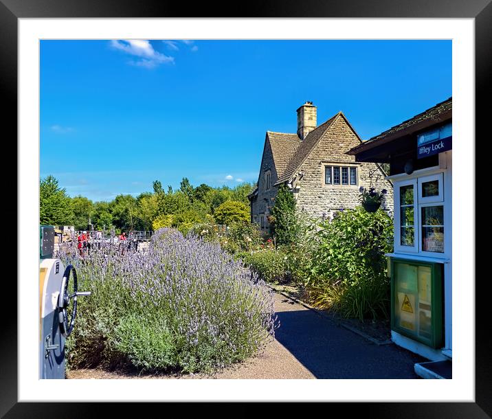 Lavender at Iffley Lock Framed Mounted Print by Joyce Storey