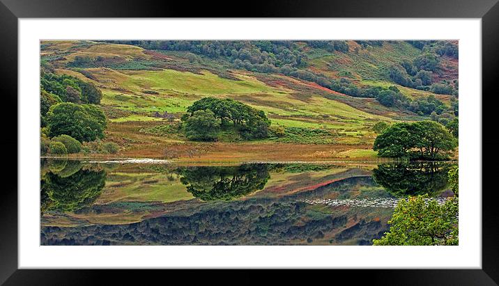 Green Reflections Framed Mounted Print by Joyce Storey