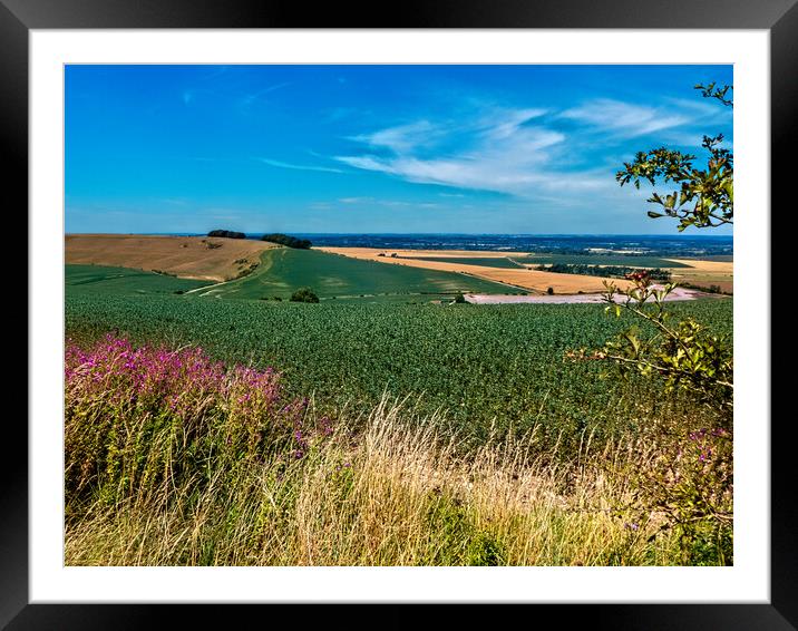 View From The Ridgeway Framed Mounted Print by Joyce Storey