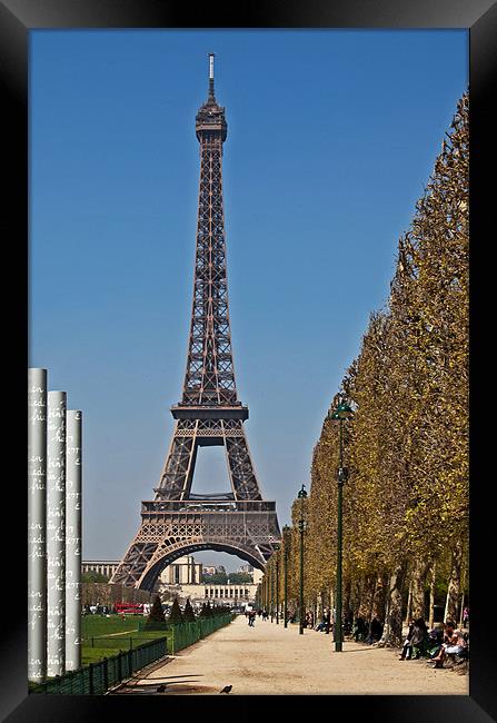 Eiffel Tower Framed Print by Joyce Storey