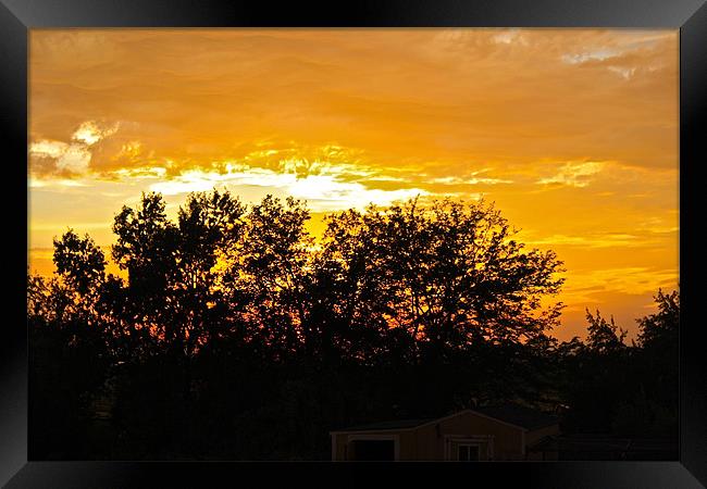 Golden Evening Sky Framed Print by Irina Walker