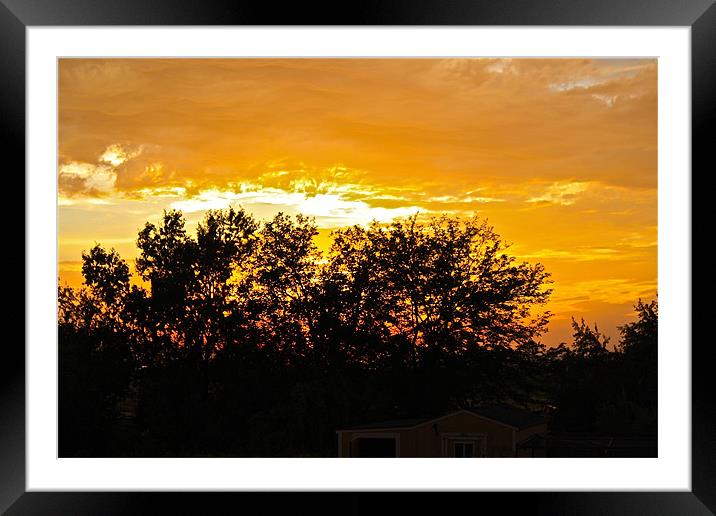 Golden Evening Sky Framed Mounted Print by Irina Walker