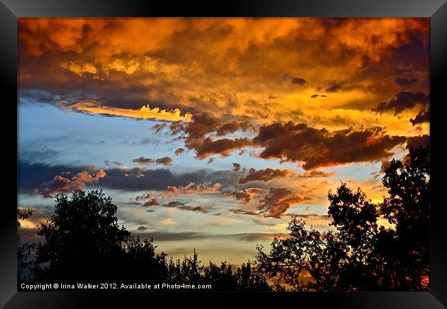 Colorful Sky Framed Print by Irina Walker