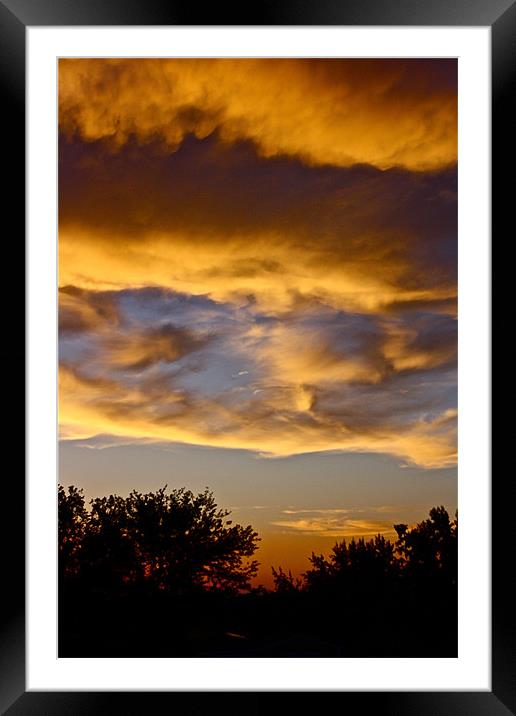 Golden Clouds Framed Mounted Print by Irina Walker