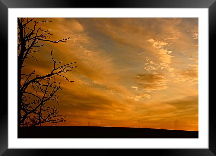 Black Silhouette Against Sunset Framed Mounted Print by Irina Walker