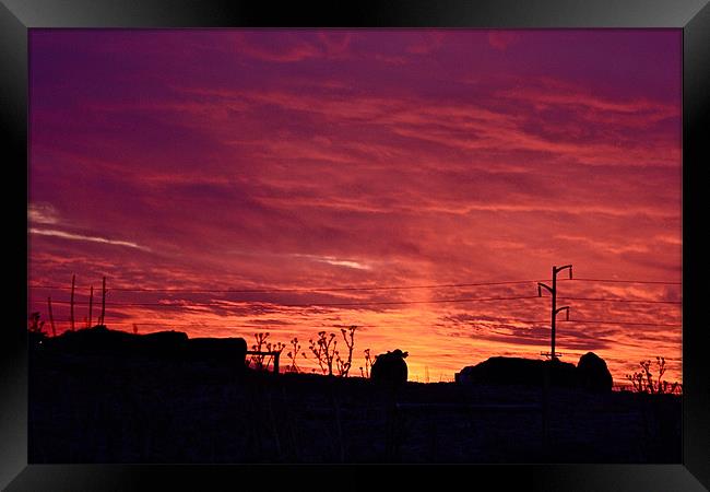 Evening Silhouettes Framed Print by Irina Walker