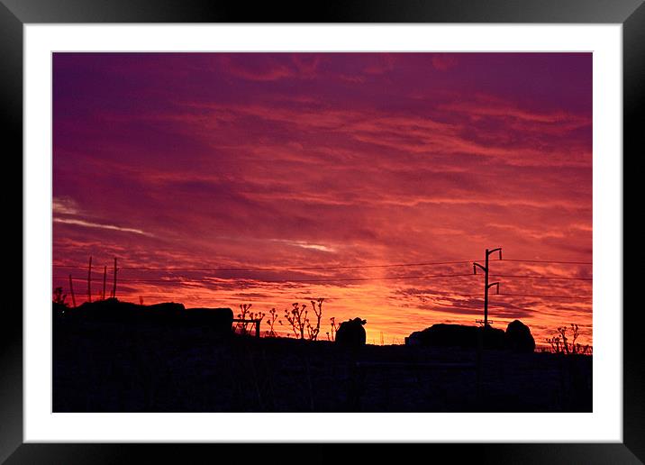 Evening Silhouettes Framed Mounted Print by Irina Walker