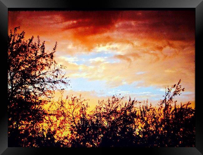  Sunset Framed Print by Irina Walker