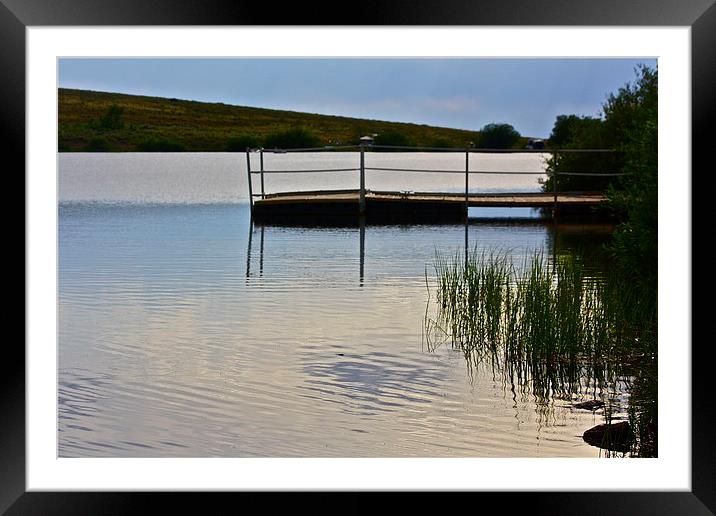  Evening On The Lake Framed Mounted Print by Irina Walker