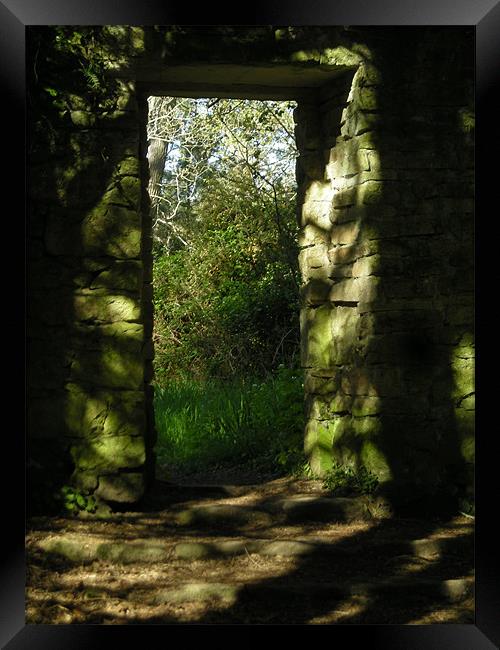 The Doorway Framed Print by Irina Walker