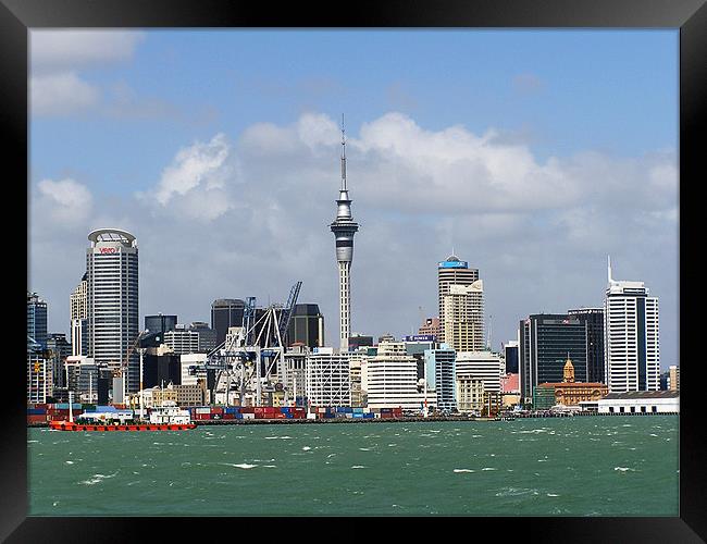 Auckland Water Front Framed Print by Ray Lewis