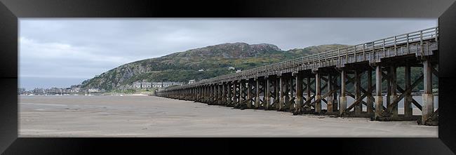 The Barmouth Bridge Framed Print by Ray Lewis