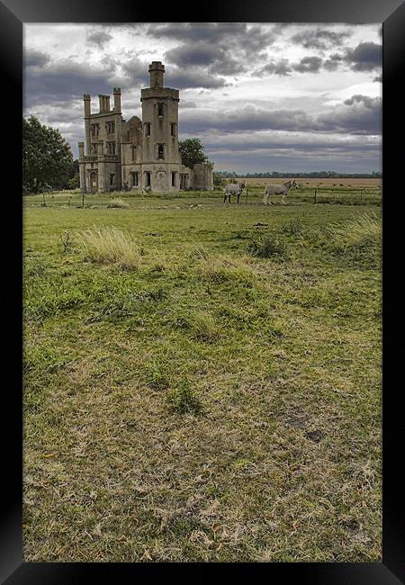 Haverholme Priory Framed Print by Steven Shea