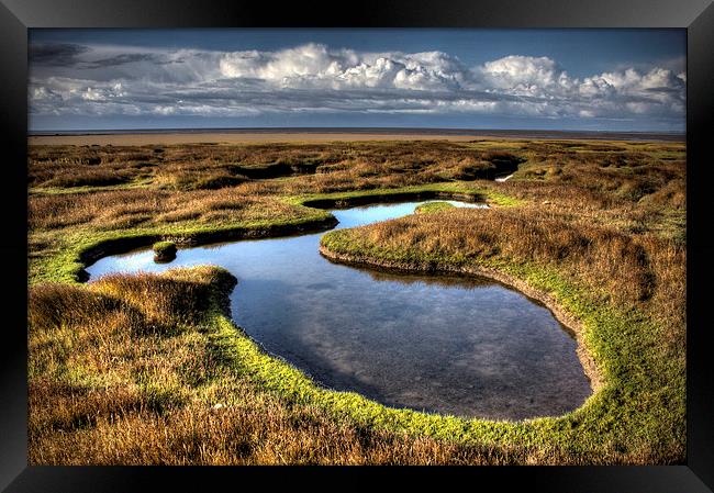  Salt marsh pool Framed Print by Steven Shea