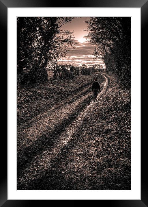  The walk home Framed Mounted Print by Steven Shea