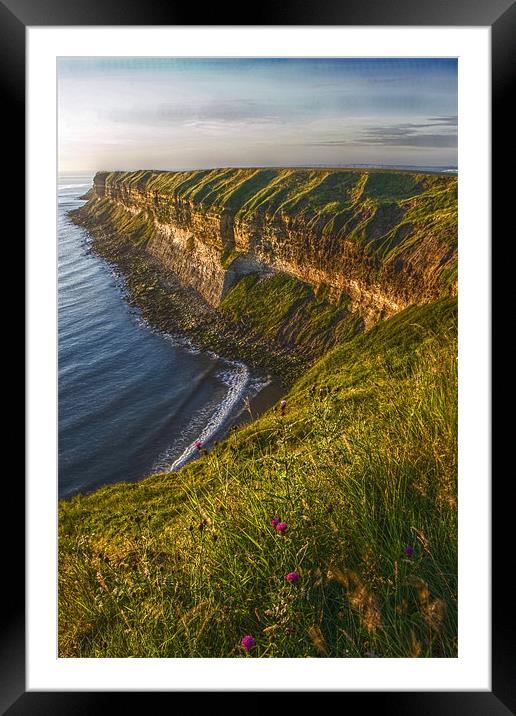 Filey cliffs at dawn Framed Mounted Print by Steven Shea