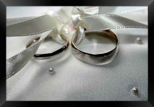 Wedding rings Framed Print by Steven Shea