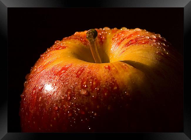 An Apple a day Framed Print by Steven Shea