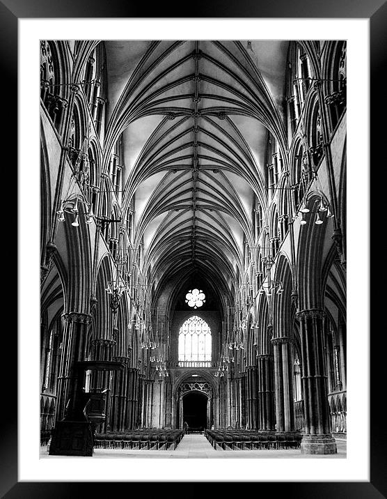 Lincoln Cathedral Framed Mounted Print by Steven Shea