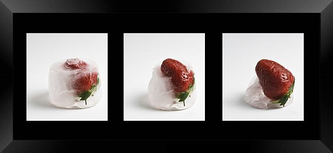 Frozen Strawberry Framed Print by Pam Martin