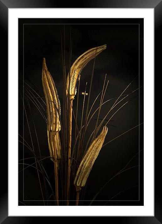 Rushes Framed Mounted Print by Brian Beckett