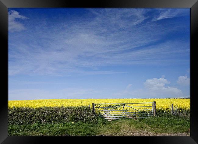 Farm Gate Framed Print by Brian Beckett