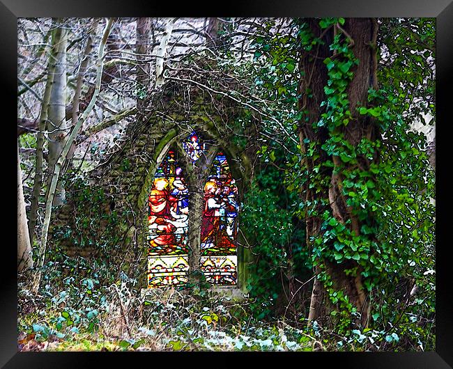 Natures Cathedral Framed Print by Brian Beckett