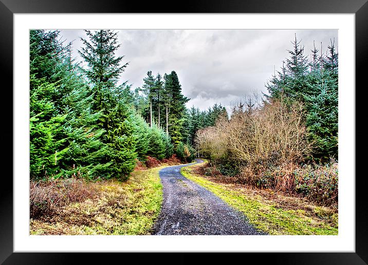 Country Road Framed Mounted Print by Brian Beckett