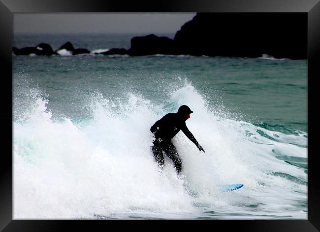 Seal surfer Framed Print by John Black