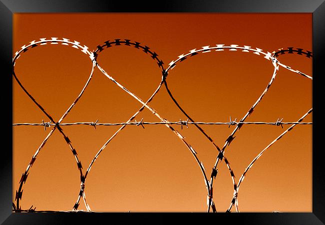 Dancing razor wire Framed Print by John Black