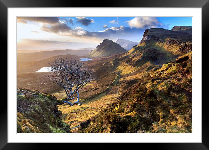 Quiraing Tree Framed Mounted Print by Paul Appleby