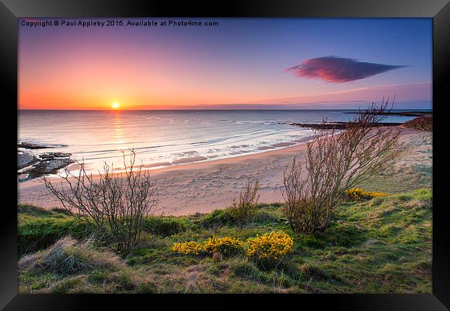  Sugar Sands Northumberland Framed Print by Paul Appleby