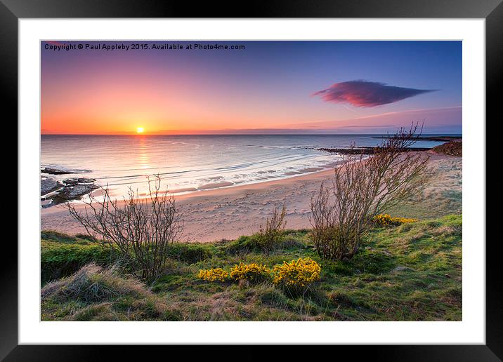  Sugar Sands Northumberland Framed Mounted Print by Paul Appleby