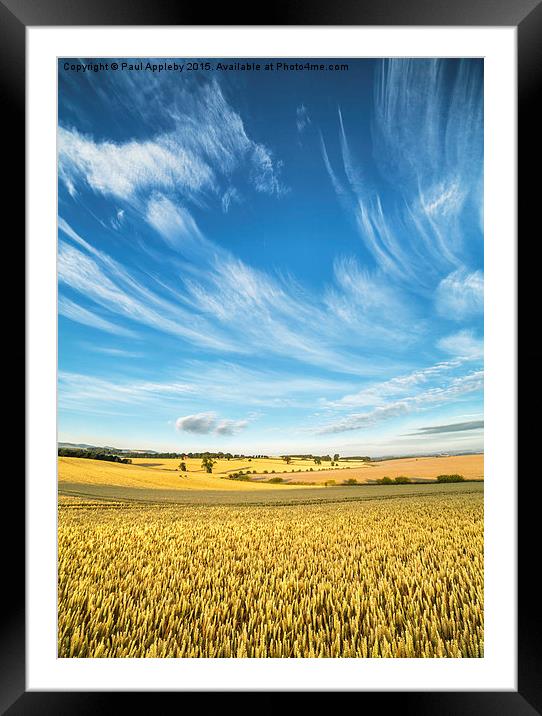   Northumberland Meets the Sky Framed Mounted Print by Paul Appleby