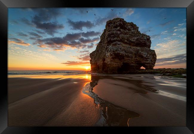 Marsden Rock Sunrise Framed Print by Paul Appleby