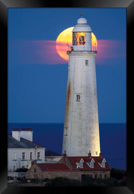 St. Mary's Lighthouse - Full Moon Rising Framed Print by Paul Appleby