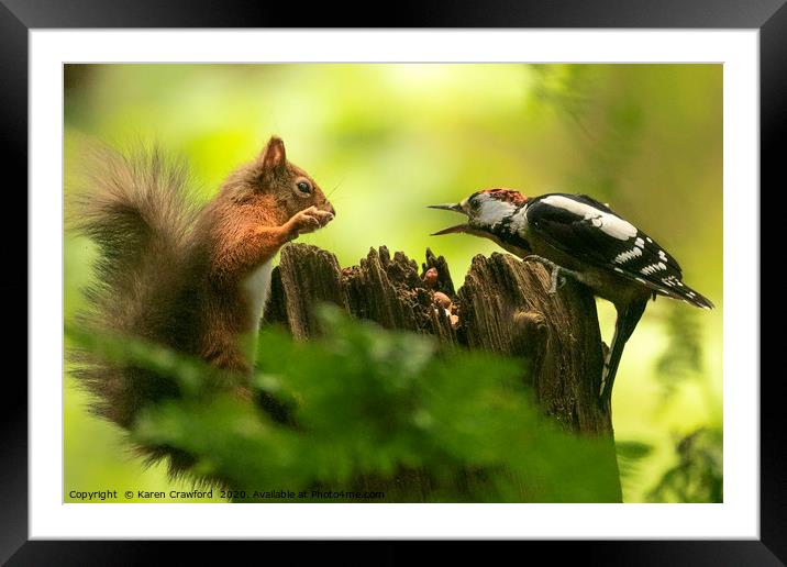 The Stand Off Framed Mounted Print by Karen Crawford