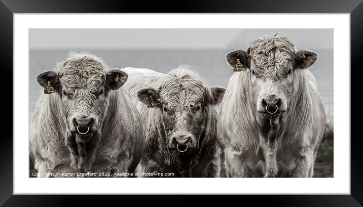 Three Cows Framed Mounted Print by Karen Crawford
