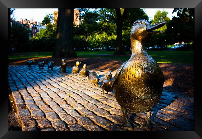Make Way For Ducklings, Boston Common Framed Print by Weng Tan