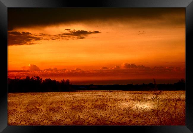 Fenland Evening Sunset Framed Print by Terry Pearce