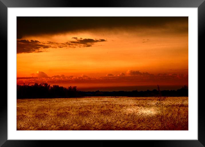 Fenland Evening Sunset Framed Mounted Print by Terry Pearce