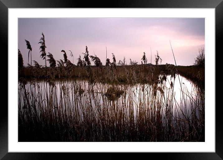 Fenland waterways near Ely. Now a nature reserve Framed Mounted Print by Terry Pearce