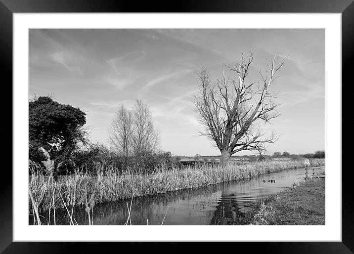 Fenland Lode Framed Mounted Print by Terry Pearce