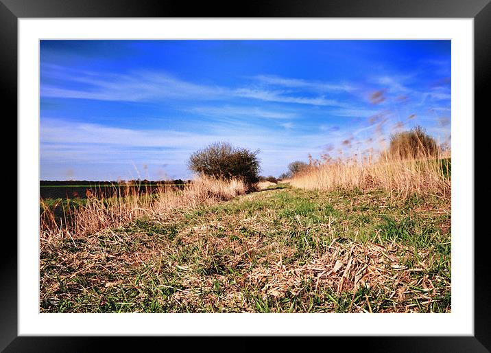 Fenland Scene Framed Mounted Print by Terry Pearce
