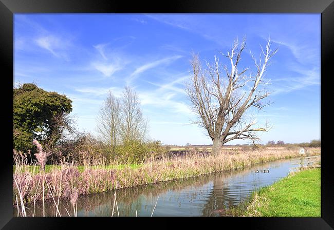 Fenland Scene - A view of a fen lode Framed Print by Terry Pearce